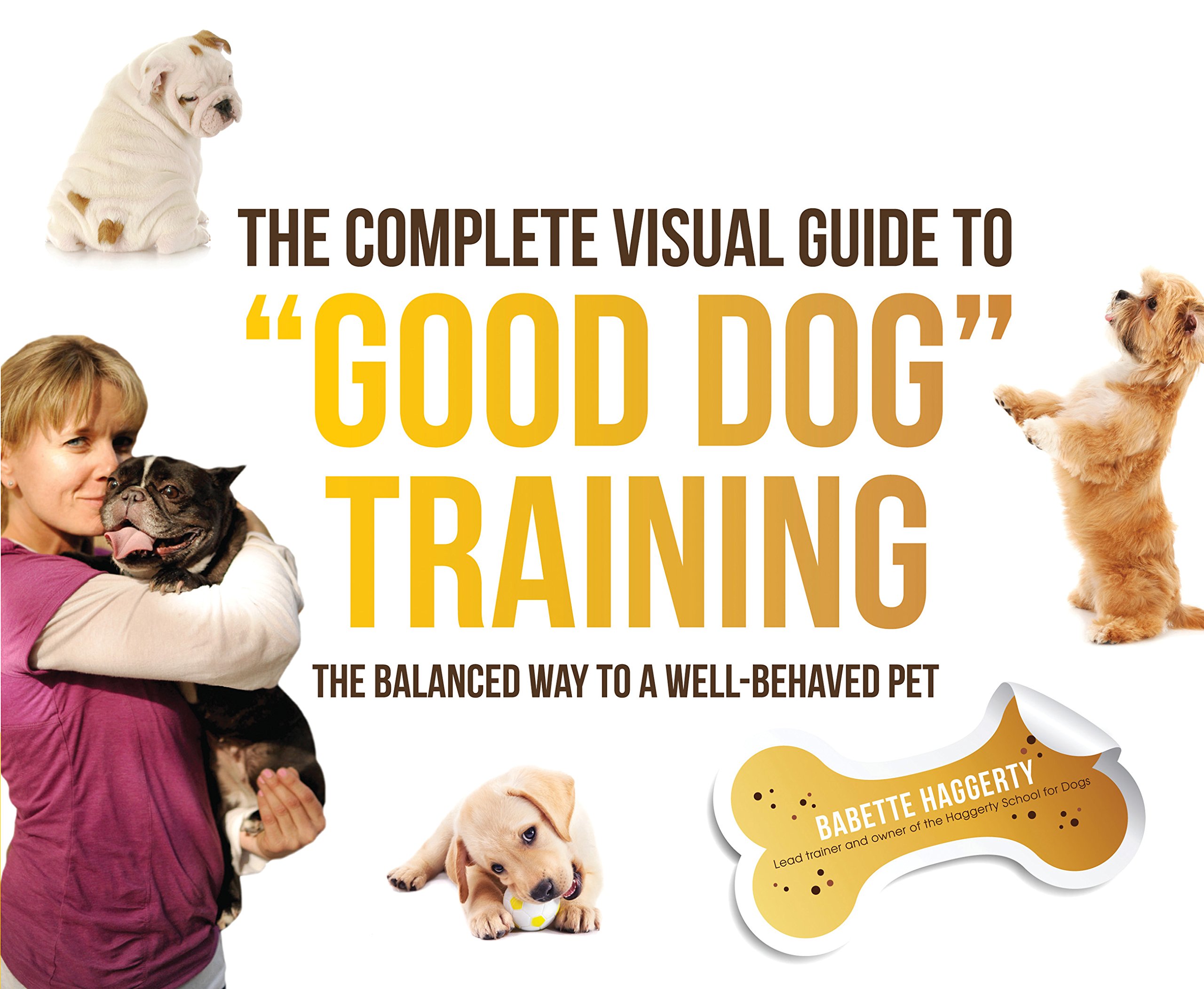 The Complete Visual Guide to \ — Babette Haggerty