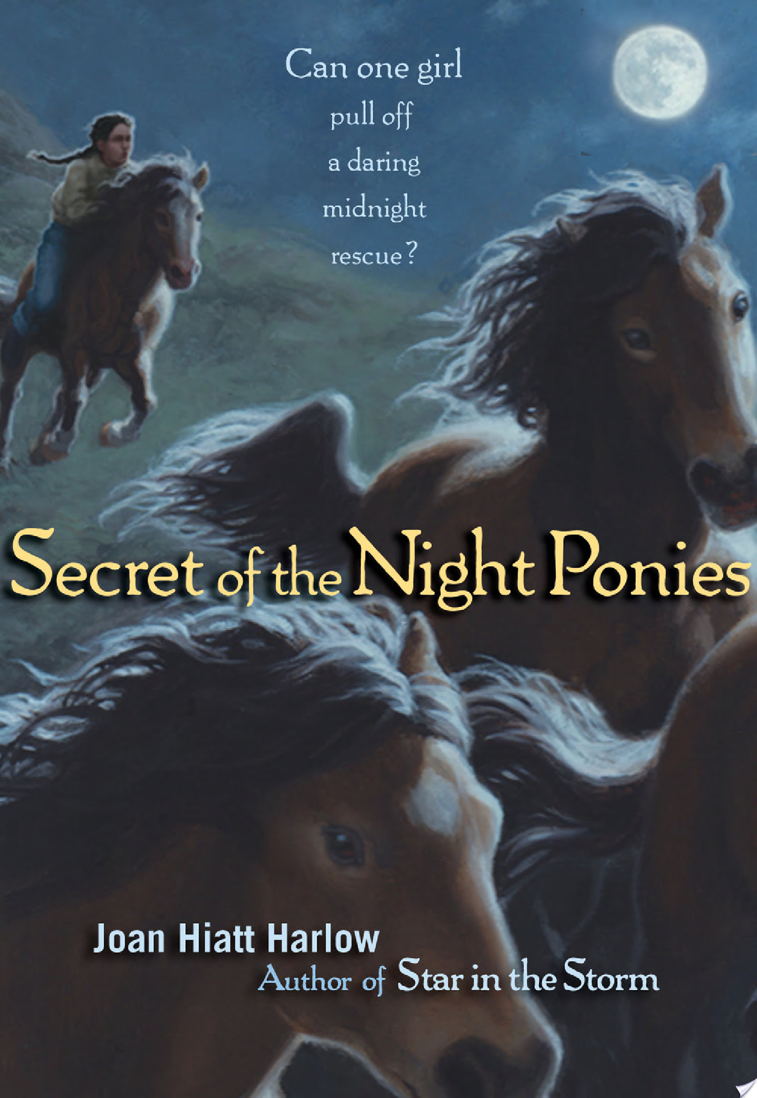 Secret of the Night Ponies — Joan Hiatt Harlow
