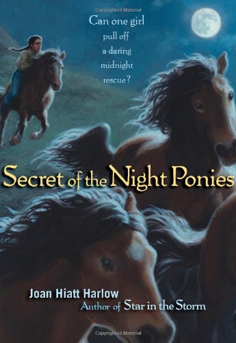 Secret of the Night Ponies — Joan Hiatt Harlow