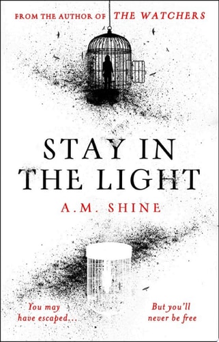 Stay in the Light — A.M. Shine