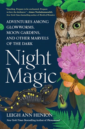 Night Magic — Leigh Ann Henion