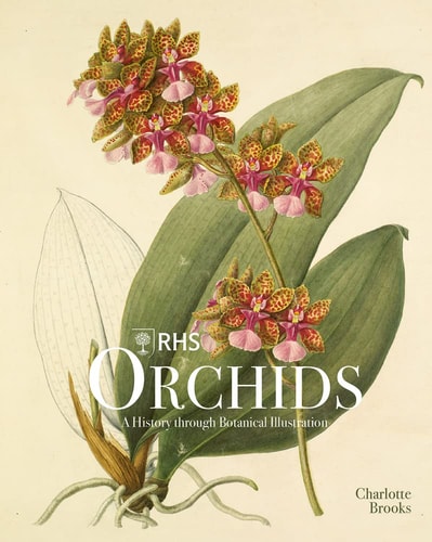 RHS Orchids — Charlotte Brooks