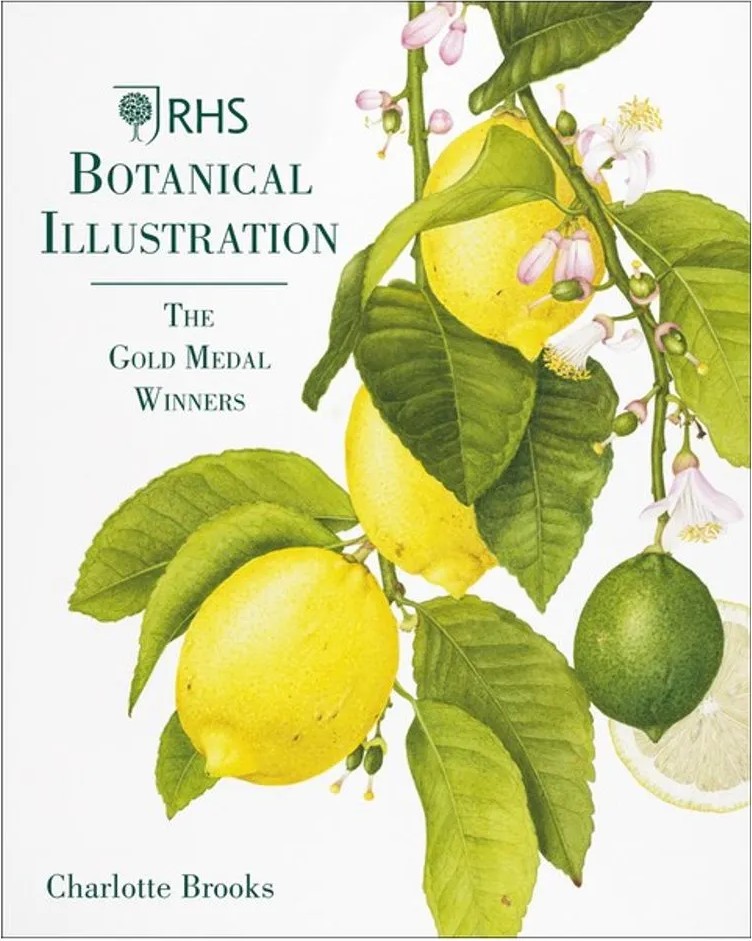 Rhs Botanical Illustration – The Gold Medal Winners — Charlotte Brooks