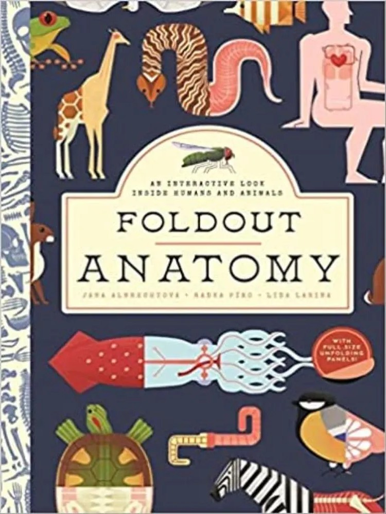 Foldout Anatomy – An Interactive Look Inside Humans and Animals — Radka Píro, Jana Albrechtová