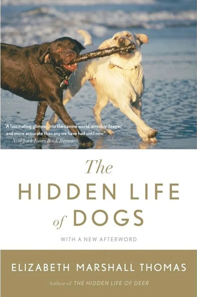 The Hidden Life of Dogs — Elizabeth Marshall Thomas