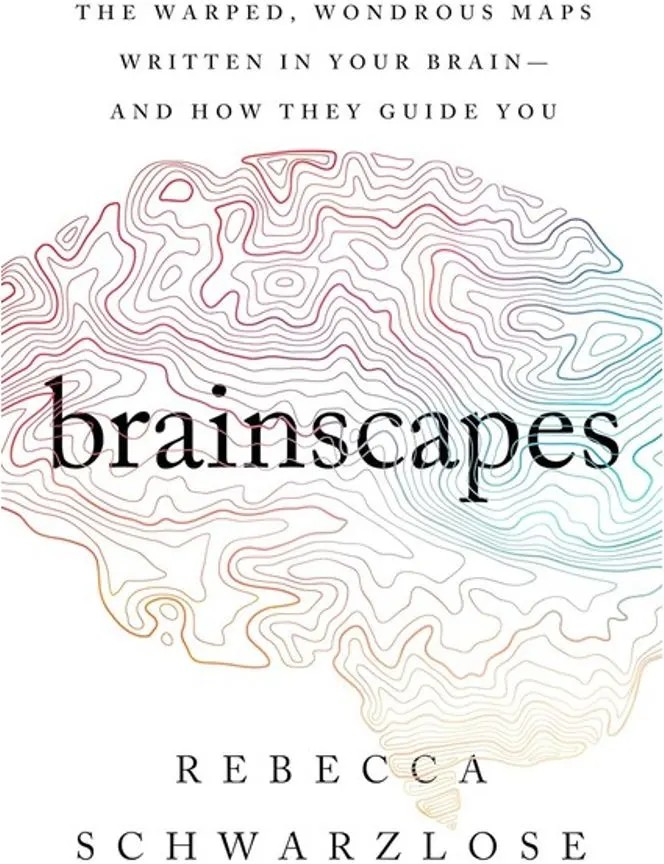 Brainscapes – The Warped, Wondrous Maps Written in Your Brain–And How They Guide You — Rebecca Schwarzlose