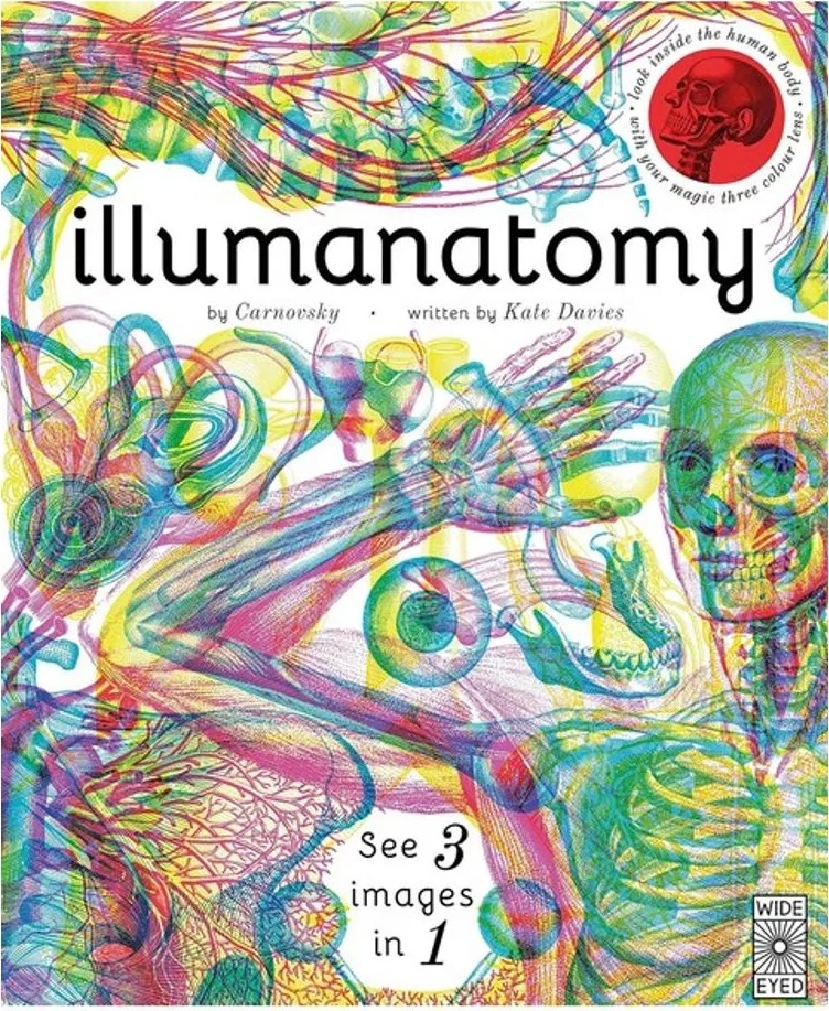 Illumanatomy – See Inside the Human Body With Your Magic Viewing Lens — Kate Davies