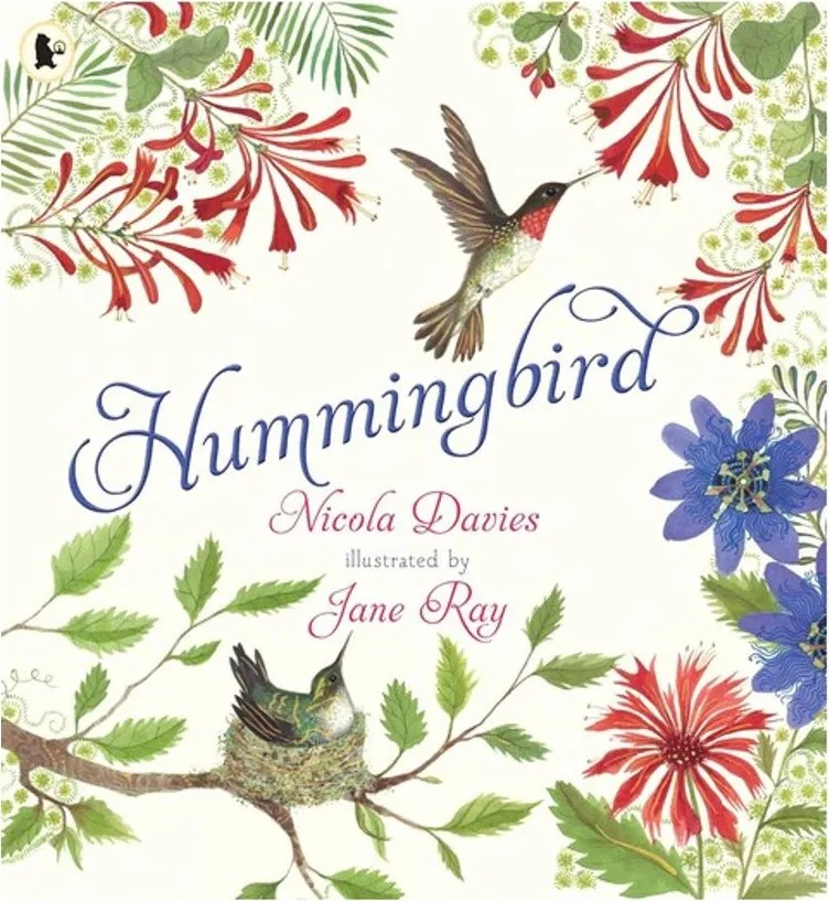 Hummingbird — Nicola Davies
