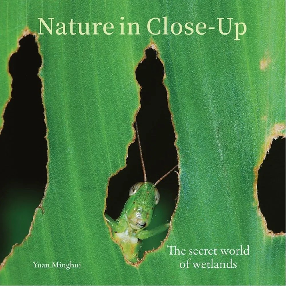 Nature in Close Up – The Secret World of Wetlands